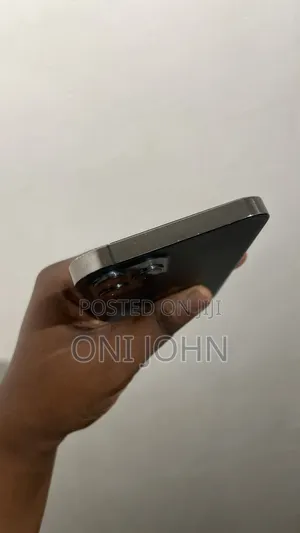 Apple iPhone 12 Pro 256 GB Gray
