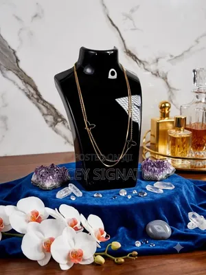 Double Layer Necklace