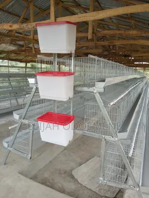 3- Tiers Battery Cage