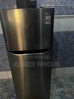LG Smart Inverter Standing Refrigerator