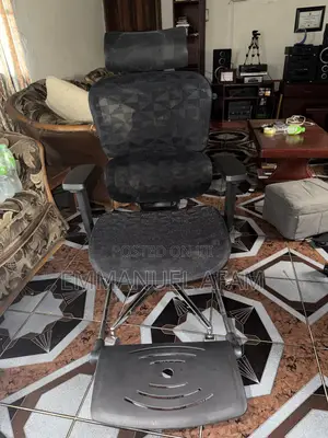 Egornomic Chair