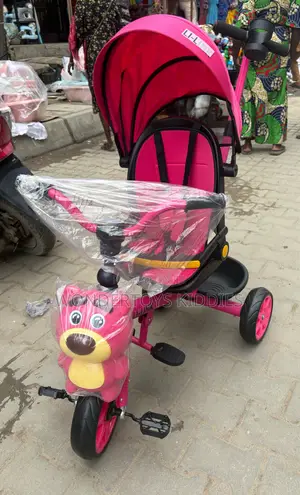 Kids Tricycle With Canopy