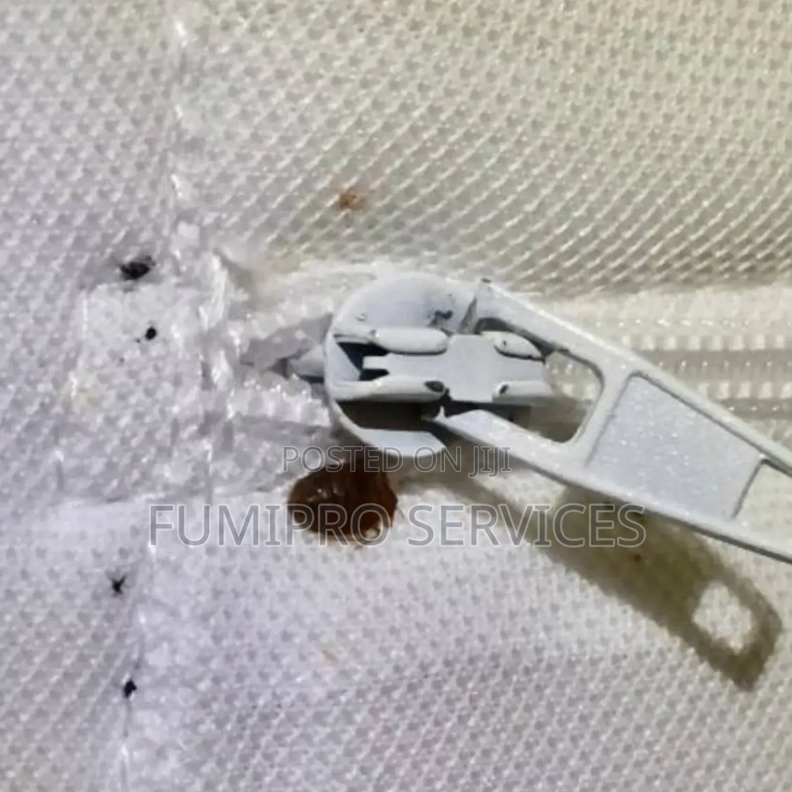 Professional Bedbugs Treatment