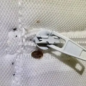 Professional Bedbugs Treatment