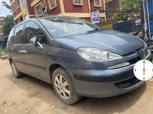 Peugeot 807 2008 Gray