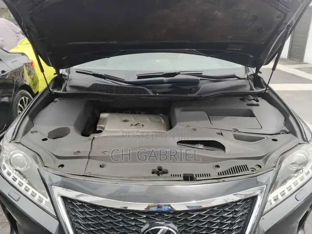 Lexus RX 2010 Gray