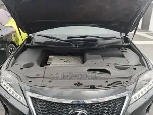 Lexus RX 2010 Gray