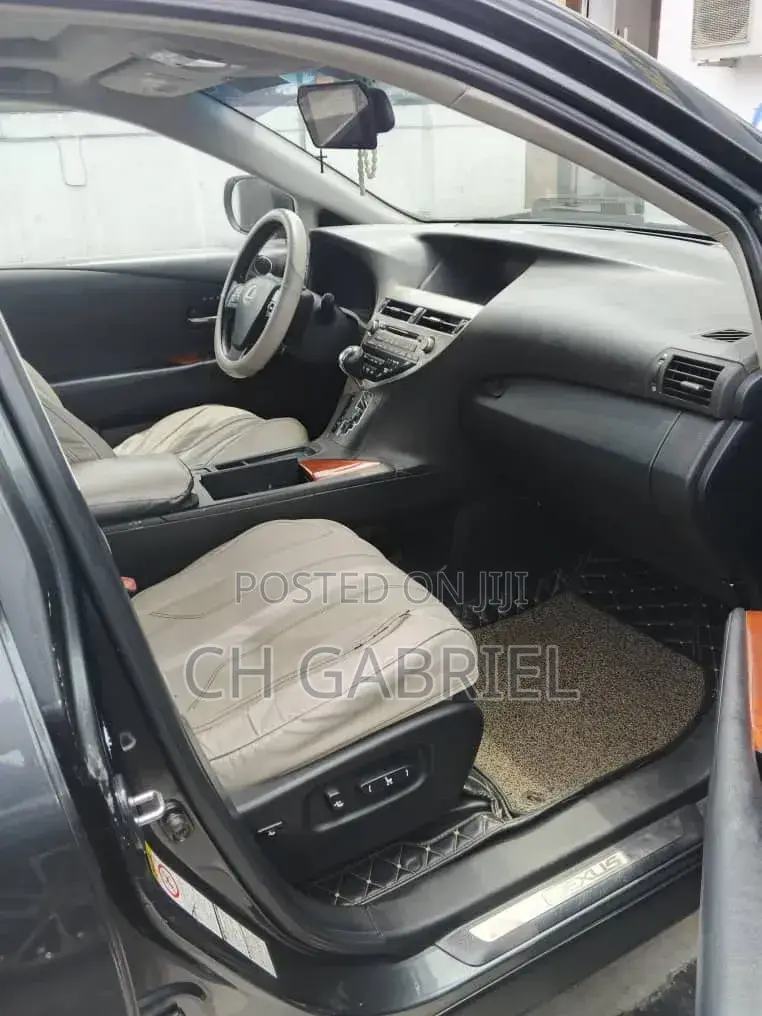 Lexus RX 2010 Gray