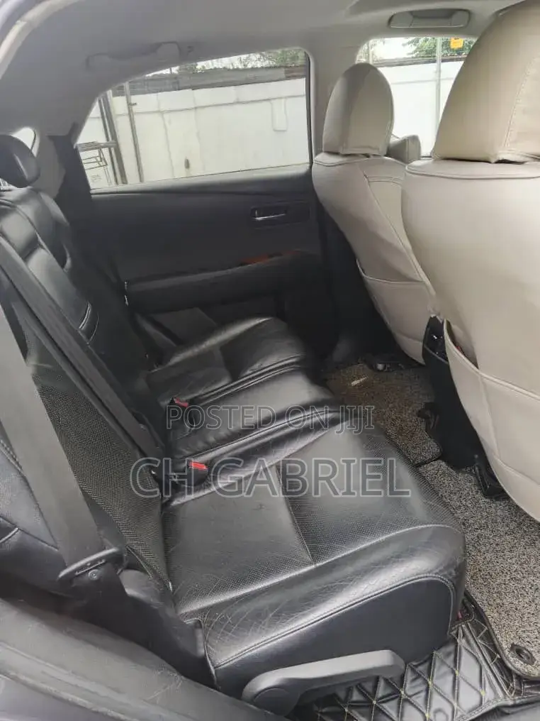 Lexus RX 2010 Gray