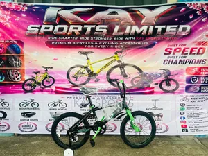 Surge 18 Inch Children Bicycle
