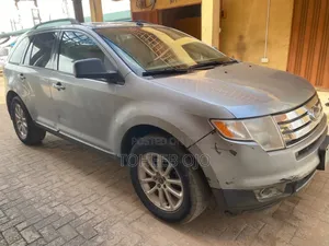 Ford Edge 2009 Silver