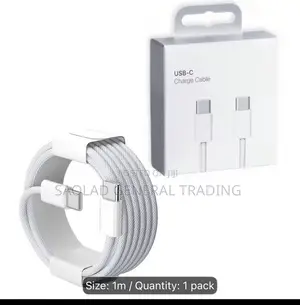Type C Charger
