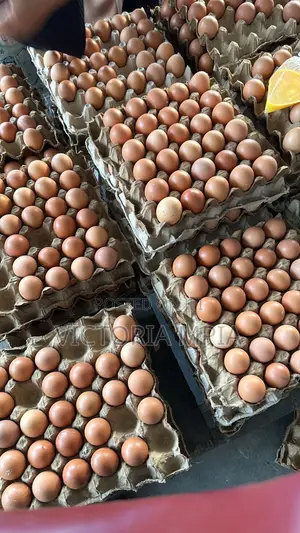 Eggs and Pepper in Bulk