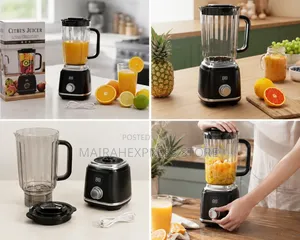 Rechargeable Fruit/Vegetables Blender