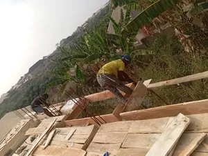Wood for Construction