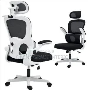Adjustable Ergonomic Computer Chair