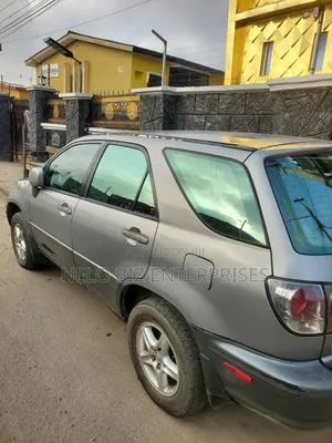 Lexus RX 2002 Gray