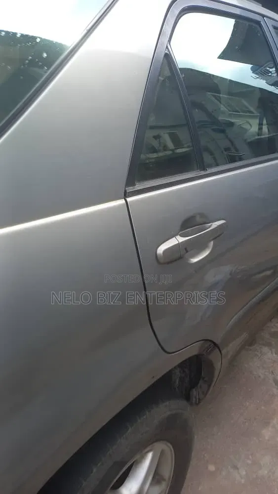 Lexus RX 2002 Gray