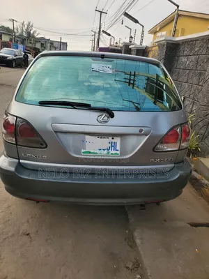 Lexus RX 2002 Gray