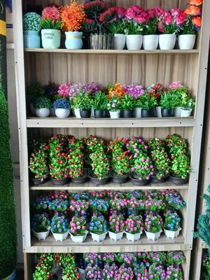 Decorative Cup Flowers