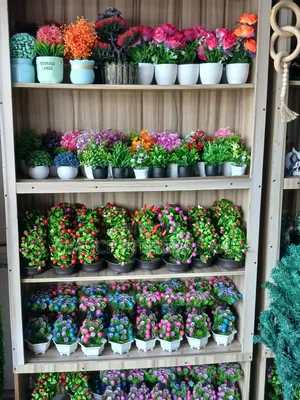 Decorative Cup Flowers