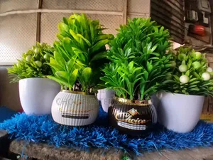 Decorative Cup Flowers