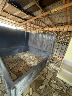 This Is 6 By6 Bed Frame