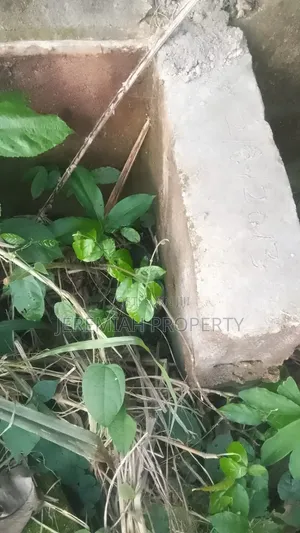 Land for Sale Ikorudu