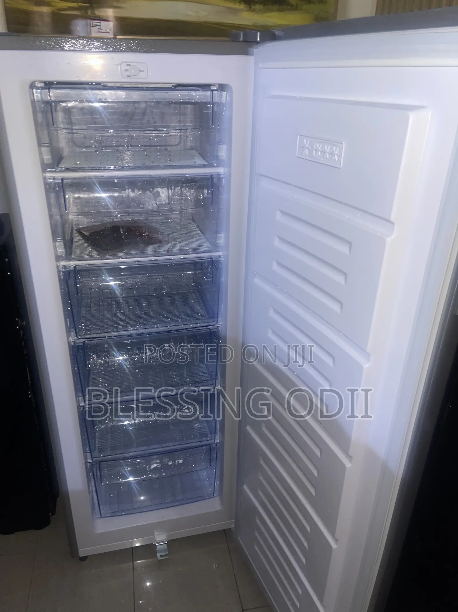 Nexus Standing Freezer 198liters 4months Use
