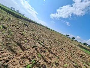 Land Very Close to Main Road