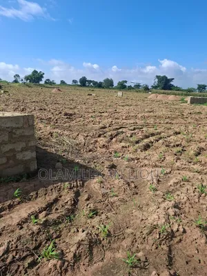Fast Finger a Plot of Land at the Back of Fountain University Oshogbo