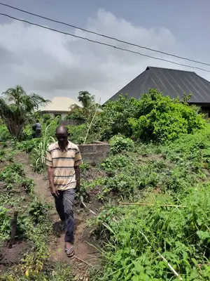 Land for Sale in Age Mowo(Serious Buyers Only)