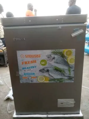 Snowsea Freezer 100litres