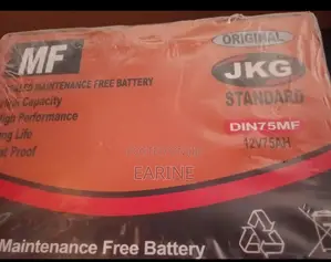 Orginal Car Battery