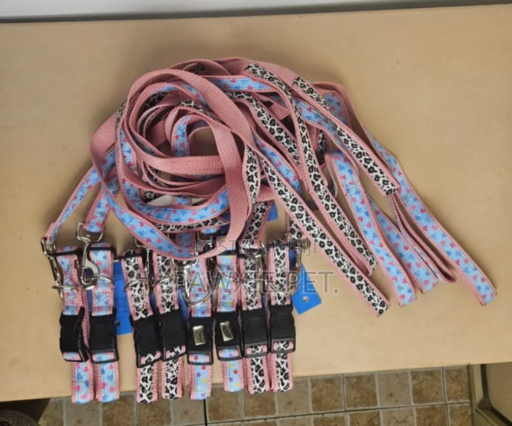 Laso Design Collar and Lead