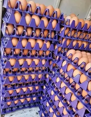 Crate of Egg