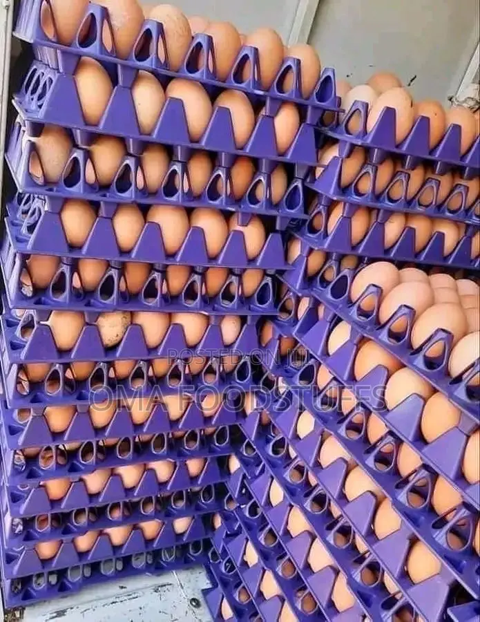 Crate of Egg