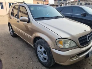 Mercedes-Benz M Class 2005 Gold