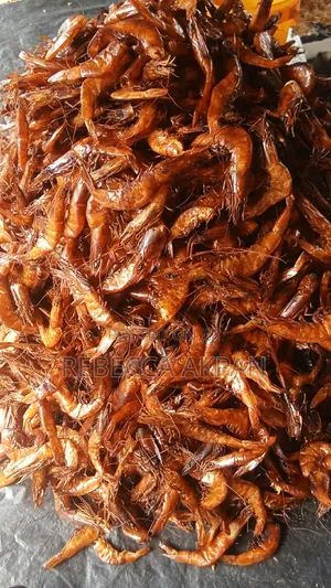 Dried Shrimps for Sales at Affordable Price