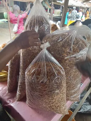 Different Sizes of Crayfish for Sale