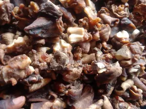 Dried Cowleg Bokoto