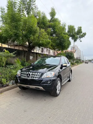 Mercedes-Benz M Class 2010 Black