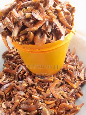 Prawn and Oron Crayfish