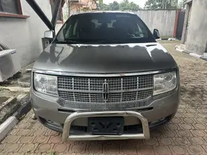 Lincoln MKX AWD 2009 Gray