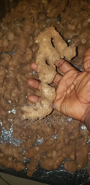 Fresh Natural GINGER