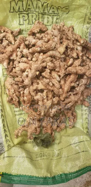 Fresh Natural GINGER