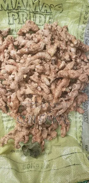 Fresh Natural GINGER