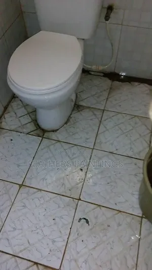 Professional Home Cleaning Services