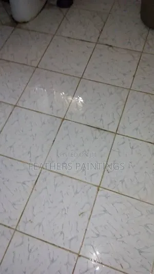 Professional Home Cleaning Services