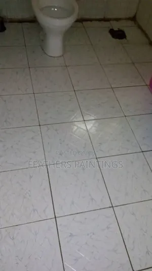 Professional Home Cleaning Services